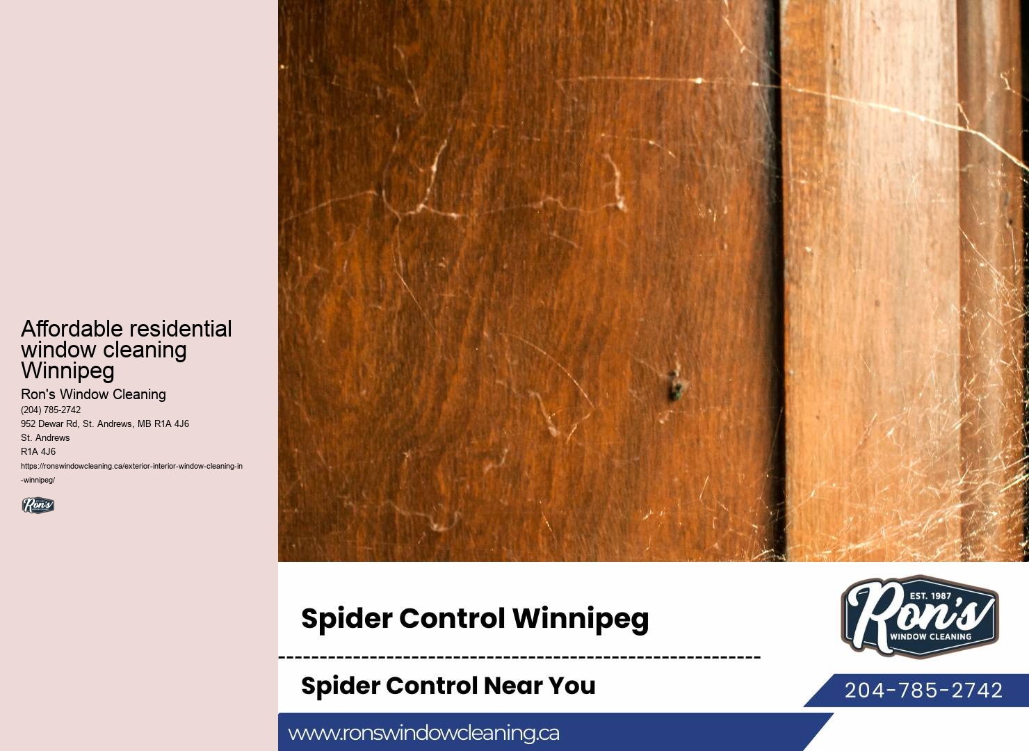 Eco-conscious window cleaning specialists Winnipeg