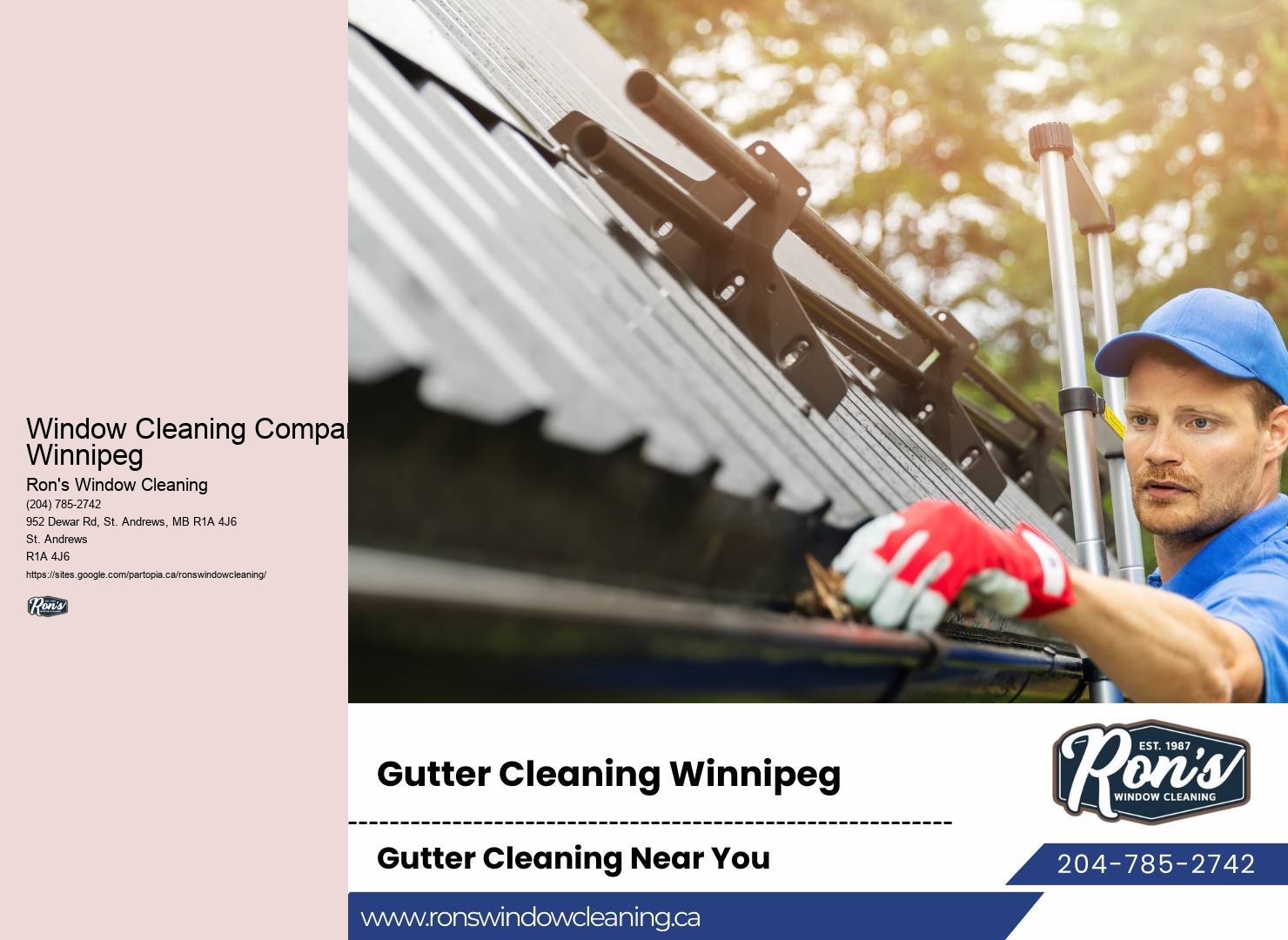 Professional window cleaning company standards