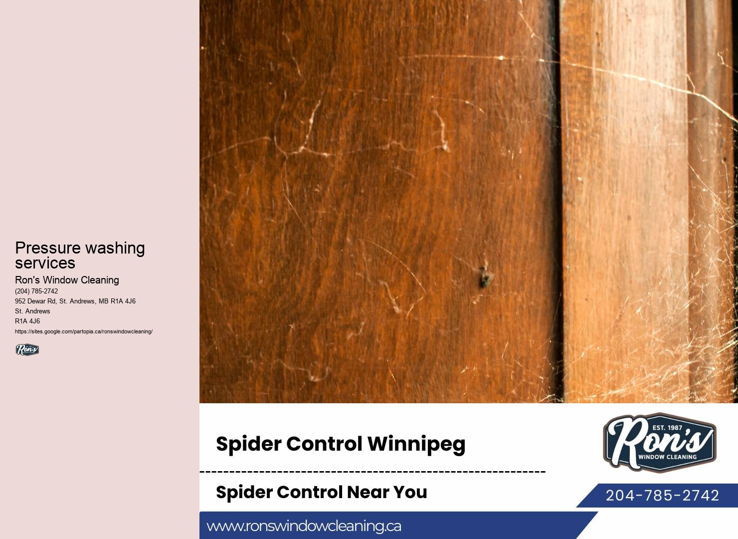 Professional window washing company