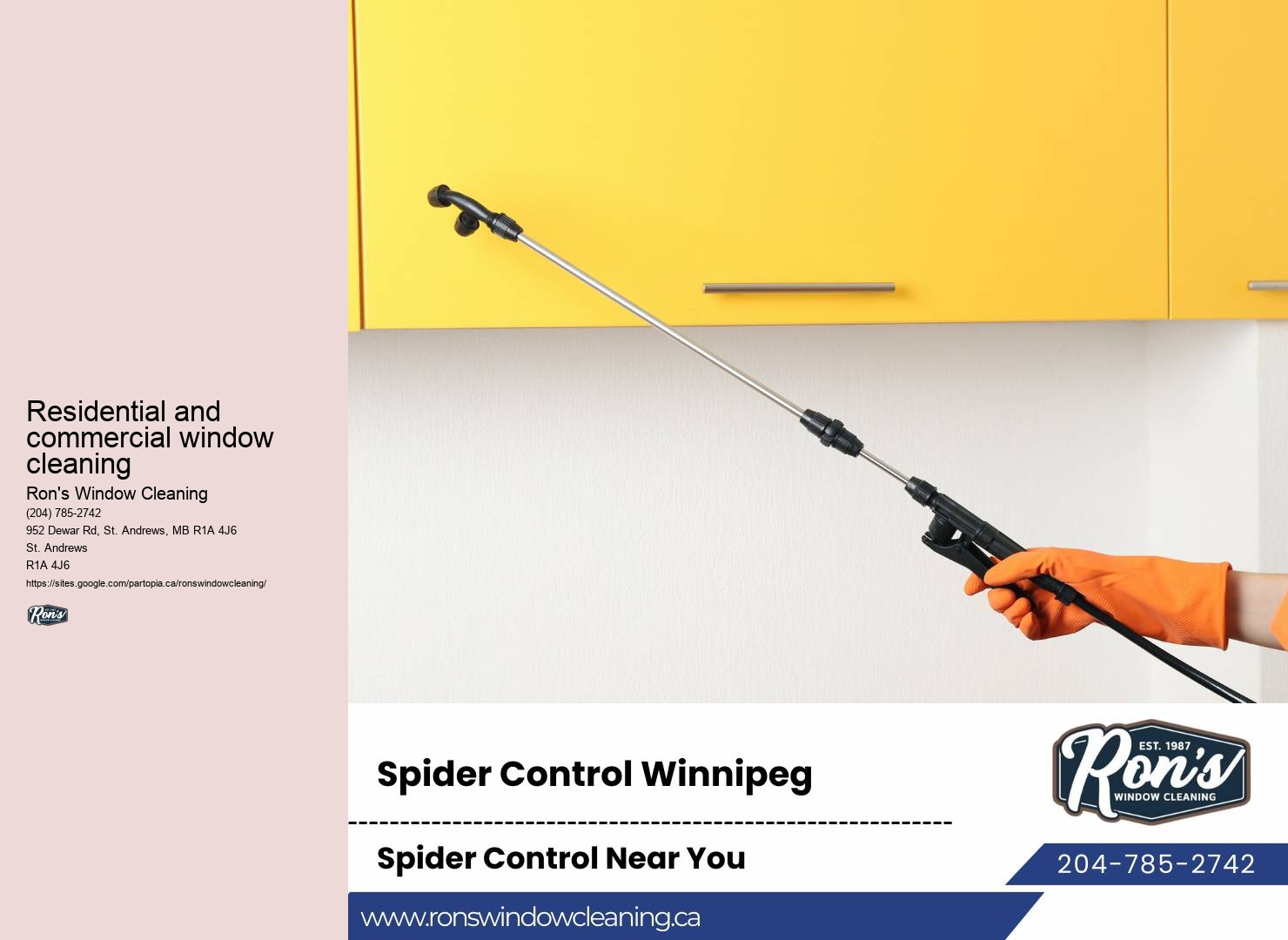 Professional commercial window washing services