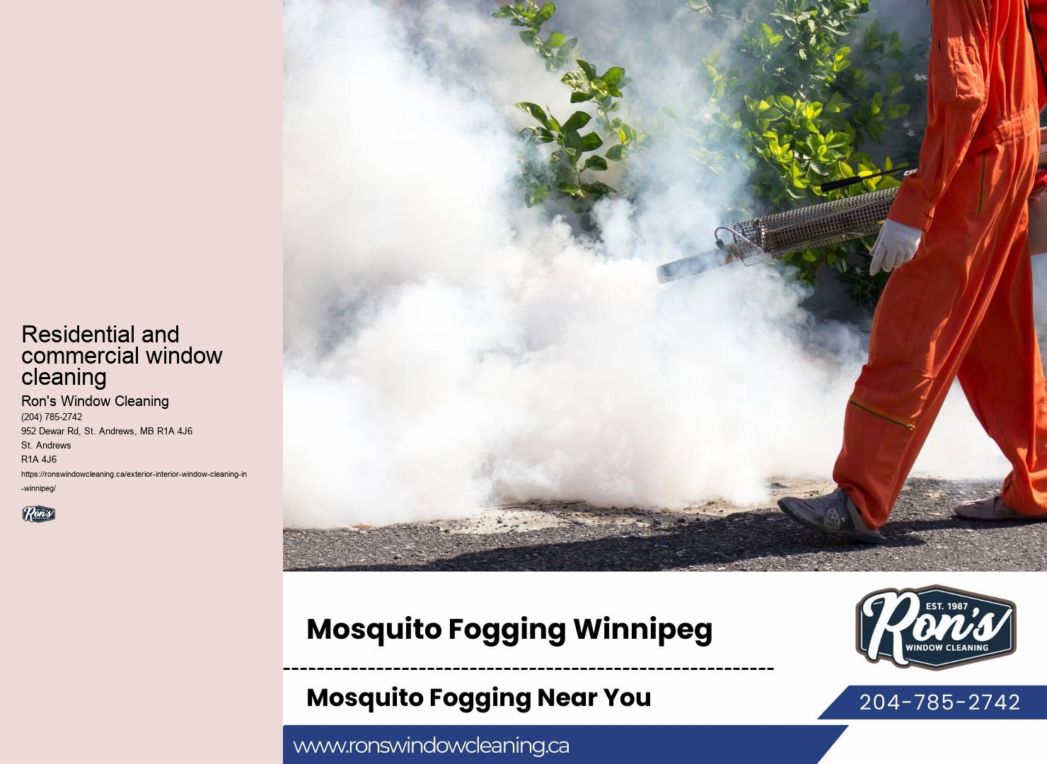 Eco-conscious window cleaning solutions