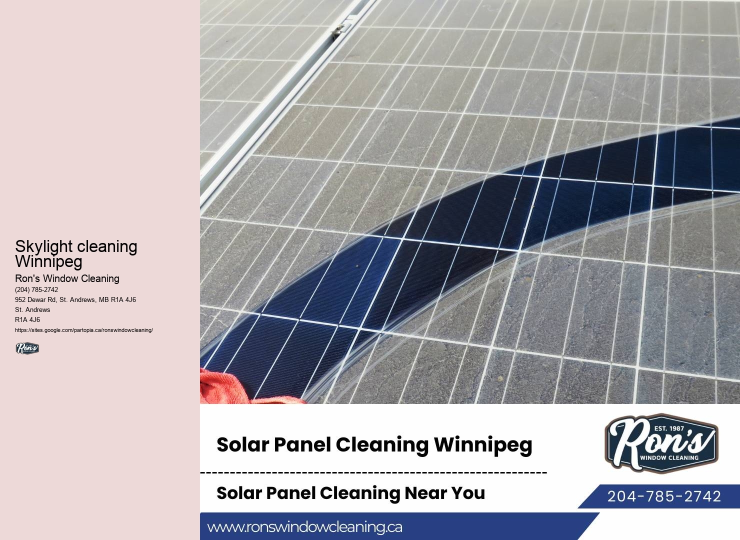 Eco-friendly window cleaning services