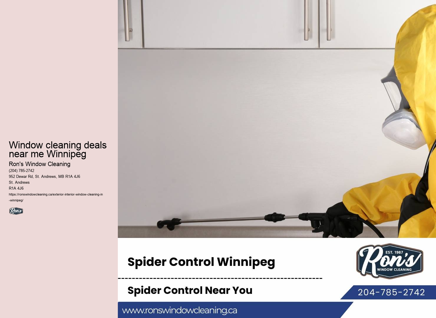 Professional commercial window washing services