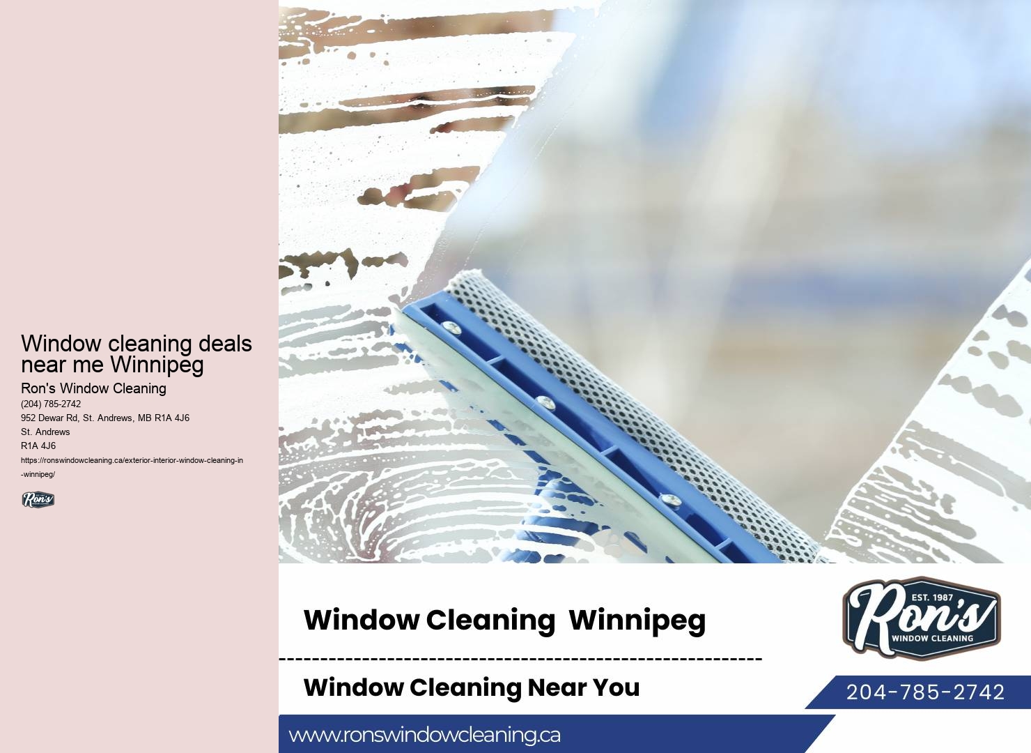 Window cleaning services for businesses