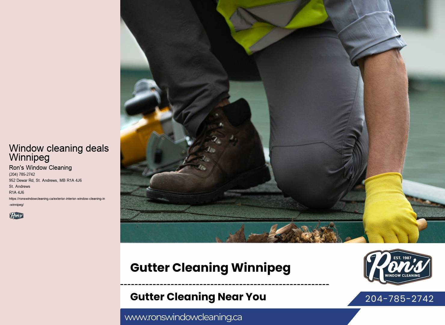 Professional window cleaning recommendations