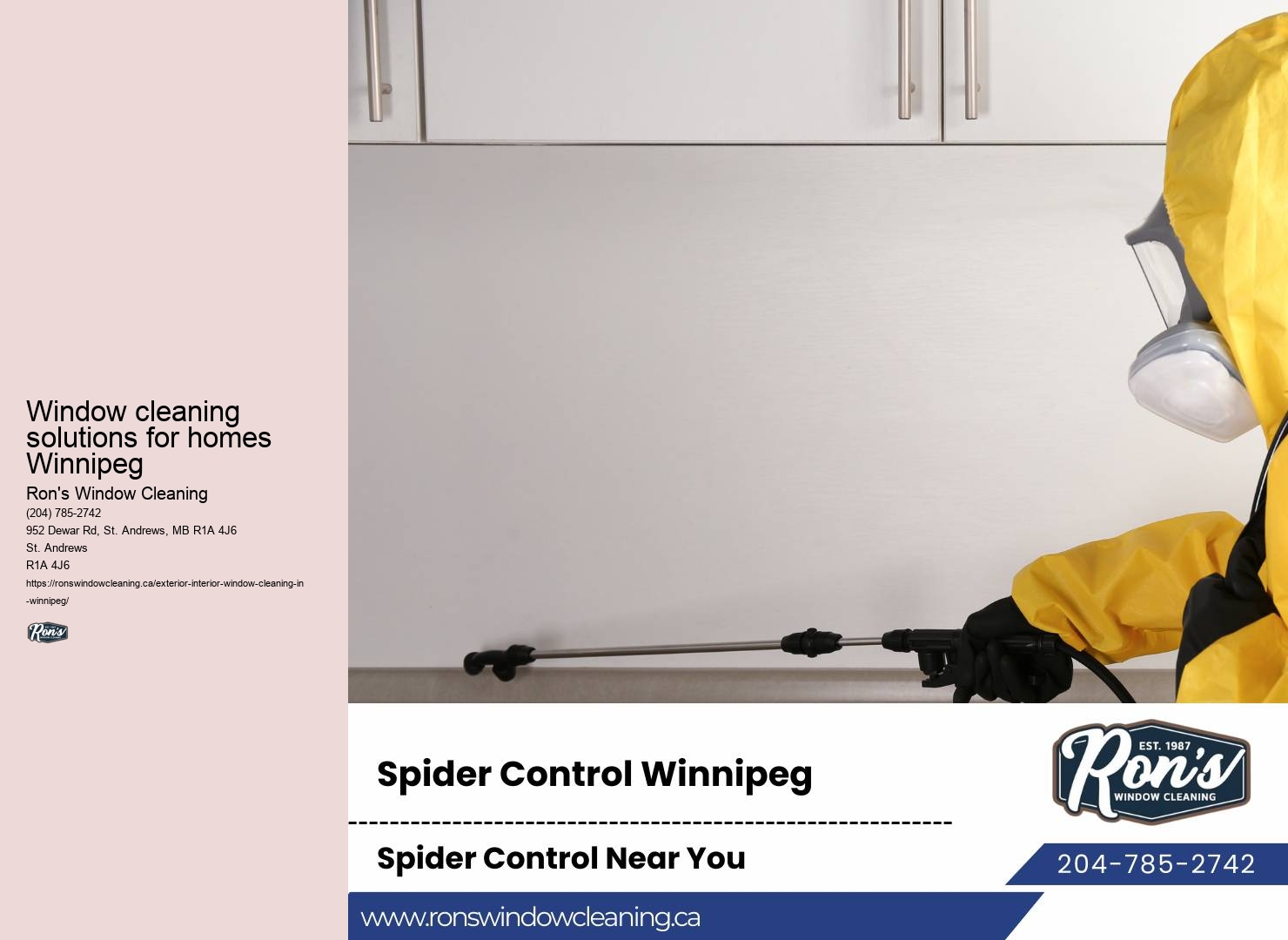 Experienced commercial window cleaning crew