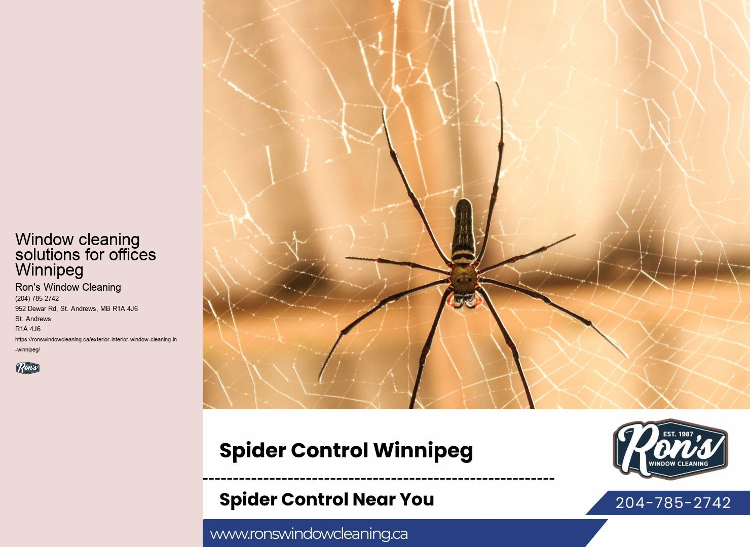 Window cleaning coupons Winnipeg