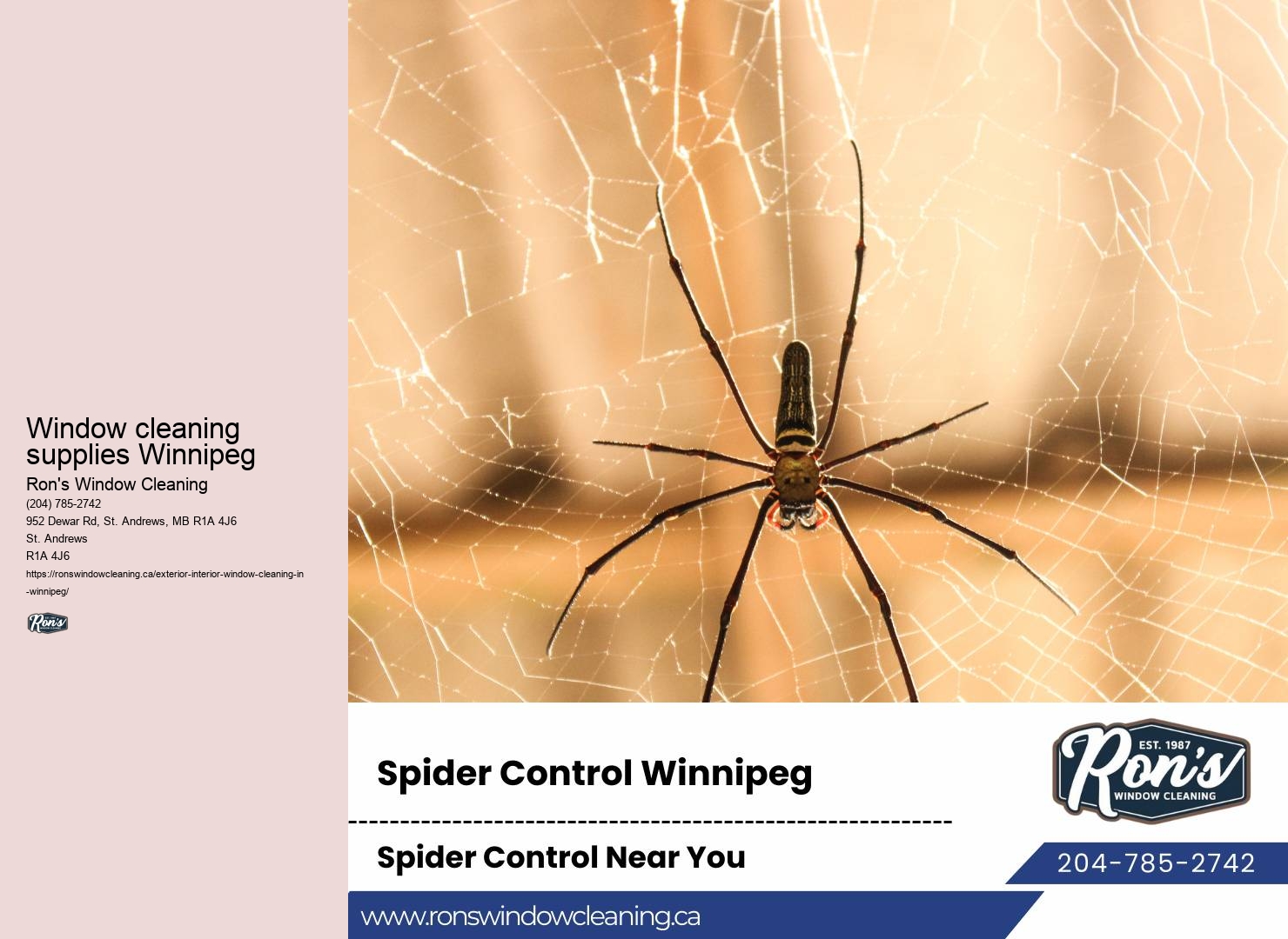 Winnipeg window cleaners