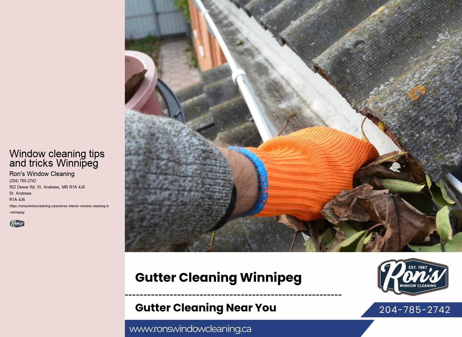 Local window cleaning experts