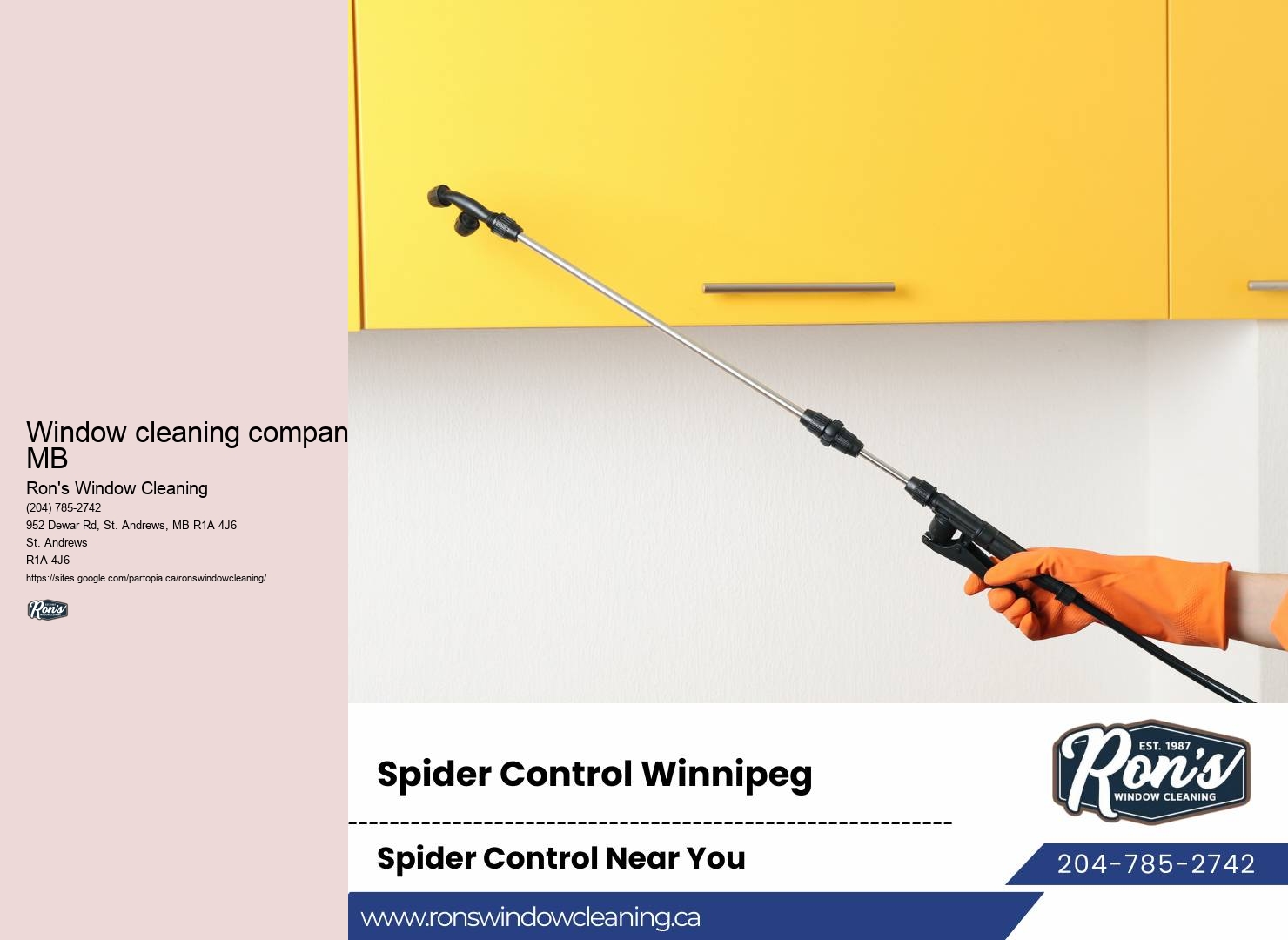 Affordable window cleaning Winnipeg