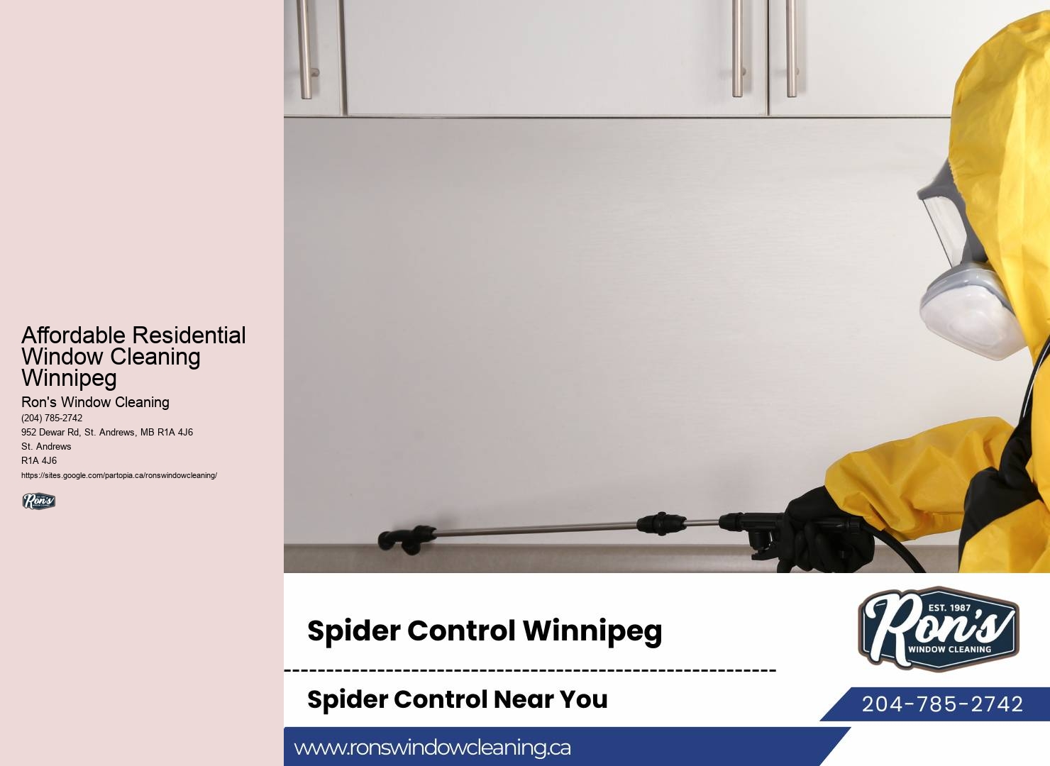 Residential Window Cleaning Services Affordable Residential Window Cleaning Winnipeg