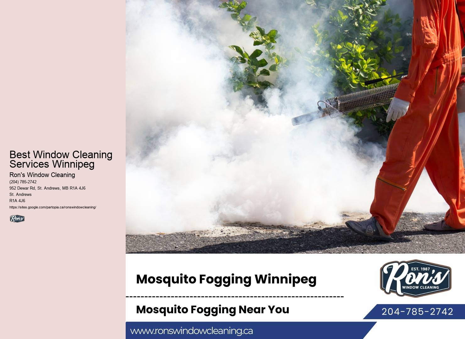 Interior Window Cleaning Best Window Cleaning Services Winnipeg