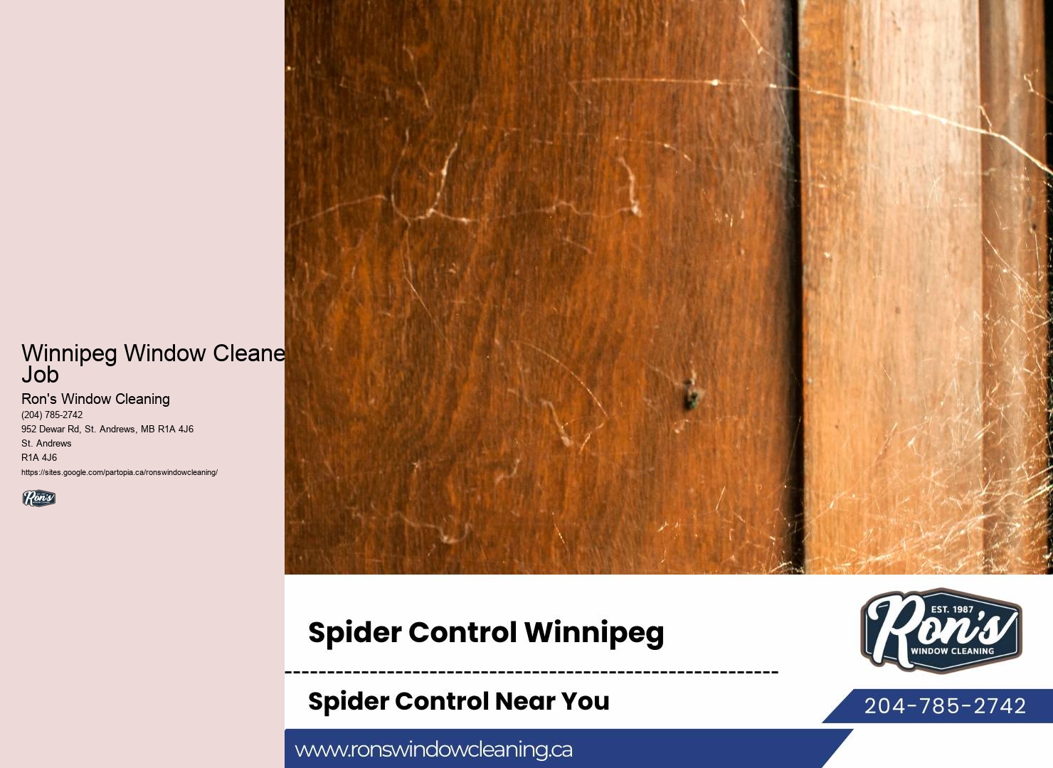Local Professional Window Cleaners Winnipeg Window Cleaner Job