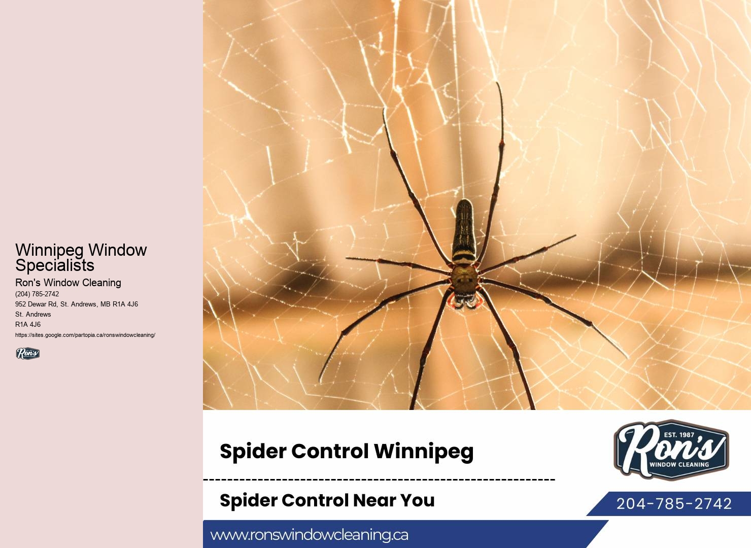 Affordable Window Cleaners Near Me Winnipeg Window Specialists
